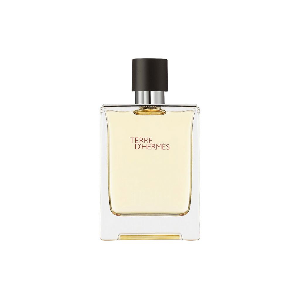 Terre D'Hermes, Eau de Toilette, 100ml