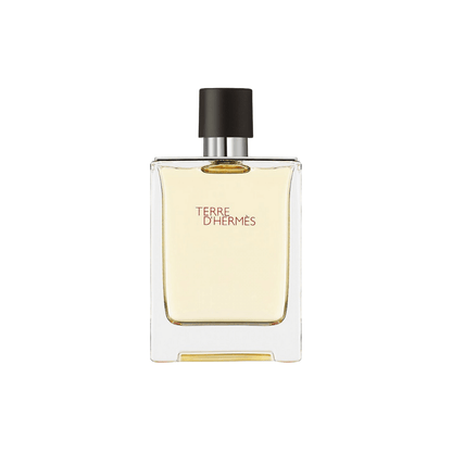Terre D'Hermes, Eau de Toilette, 100ml